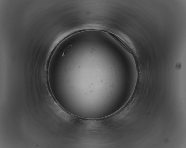 X0000091661192200708231258