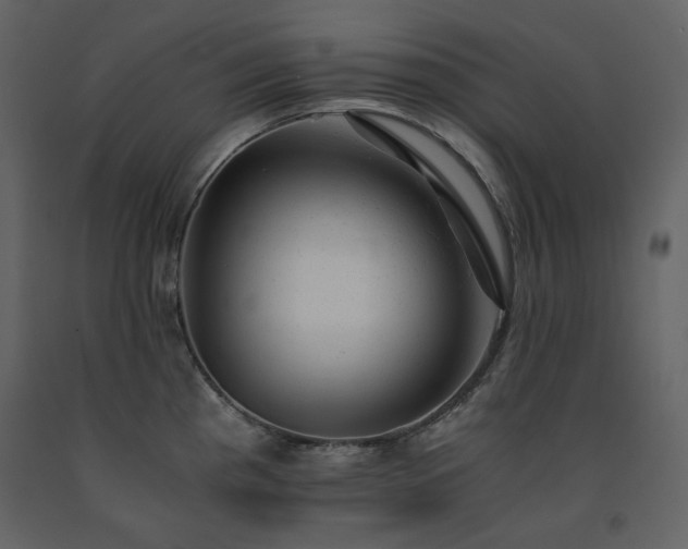 X0000091661193200708231258