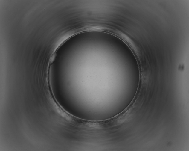 X0000091661194200708231258