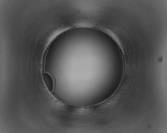 X0000091661195200708231258