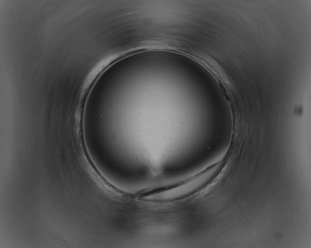 X0000091661196200708231258