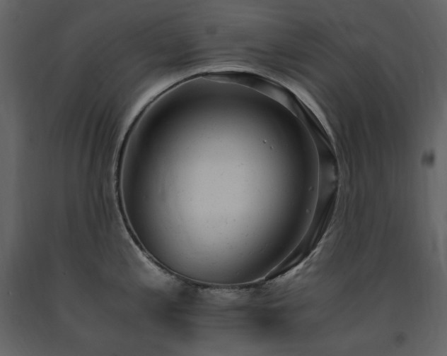 X0000091661197200708231258