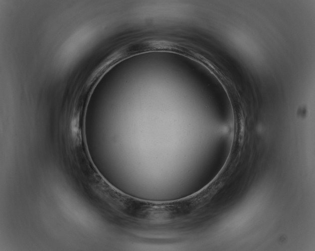 X0000091661198200708231258