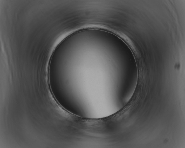 X0000091661199200708231258