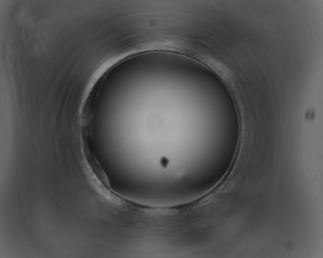 X0000091661200200708231258