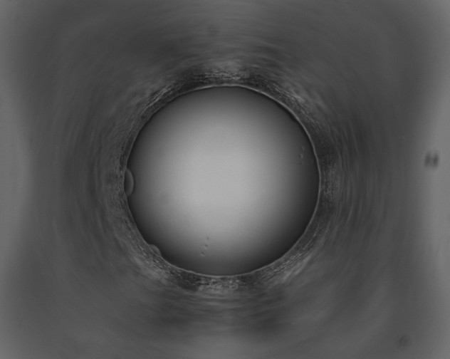 X0000091661201200708231257