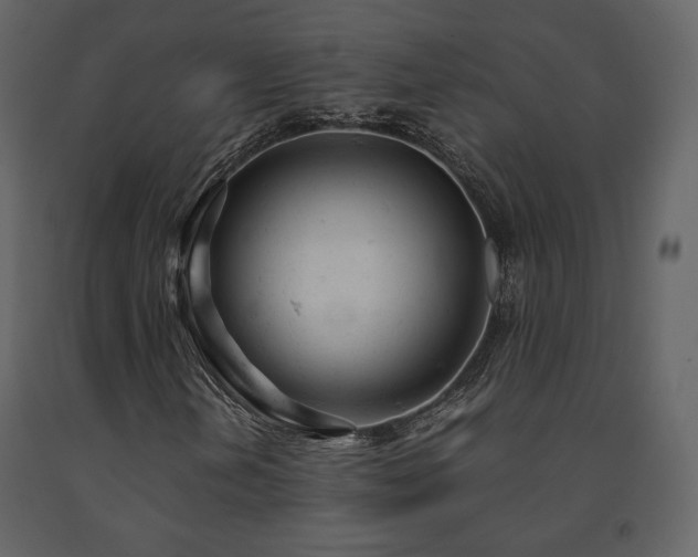 X0000091661202200708231257