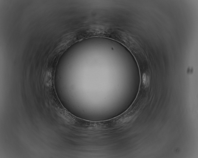X0000091661203200708231257