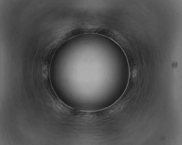 X0000091661204200708231257