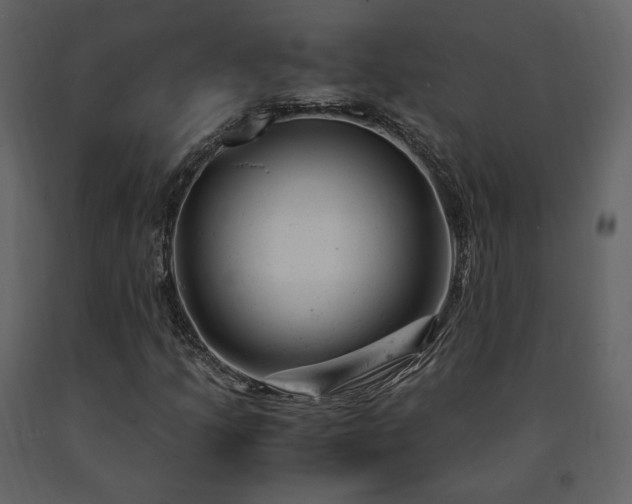 X0000091661205200708231257