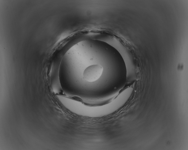 X0000091661206200708231257