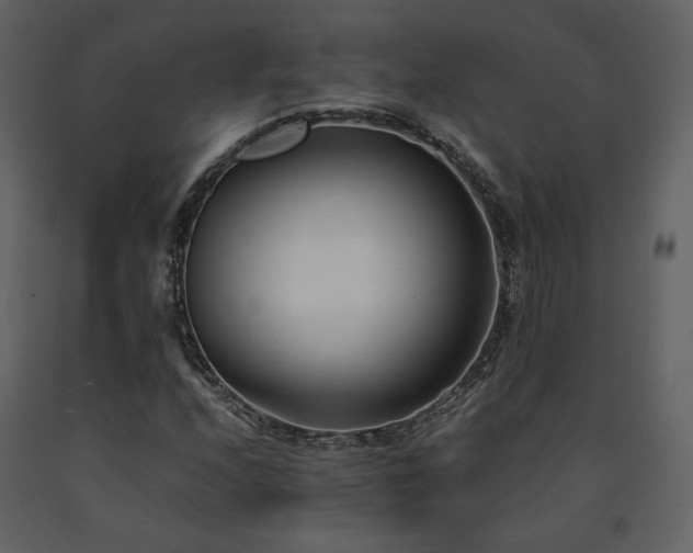 X0000091661208200708231257