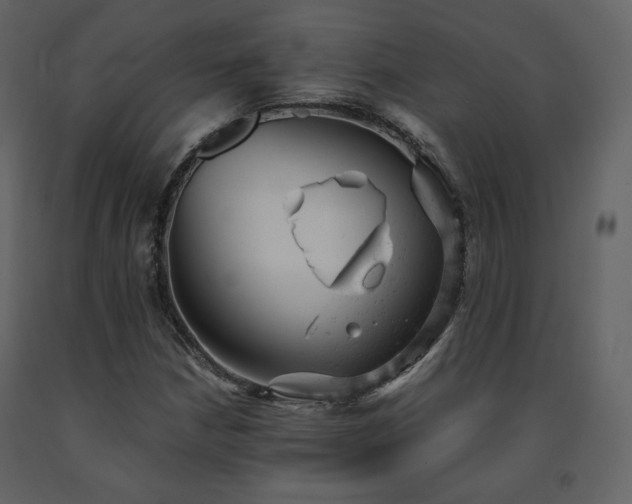 X0000091661210200708231257