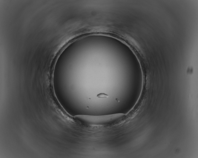 X0000091661212200708231257