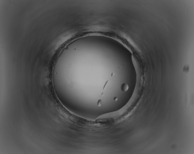 X0000091661213200708231257