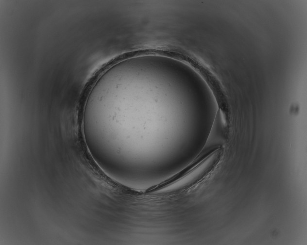 X0000091661214200708231257