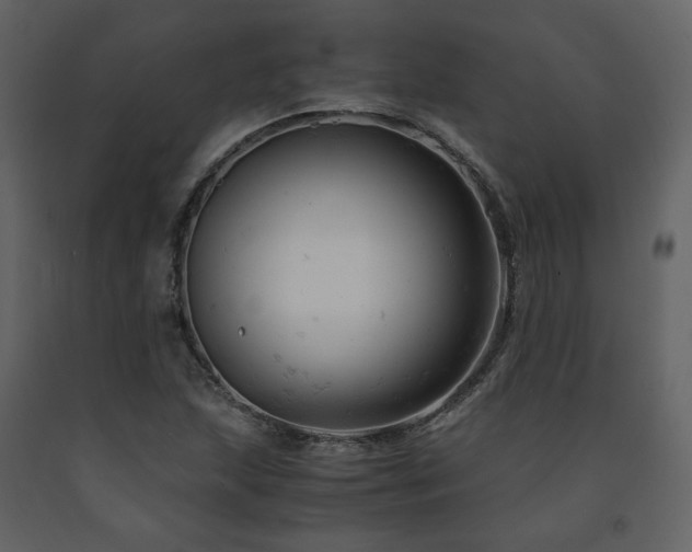 X0000091661215200708231257