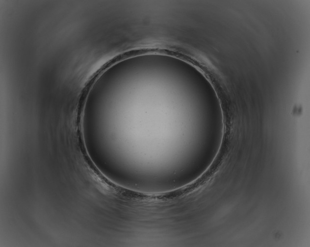 X0000091661216200708231257