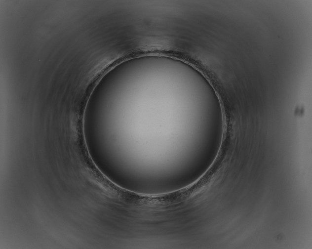 X0000091661217200708231257