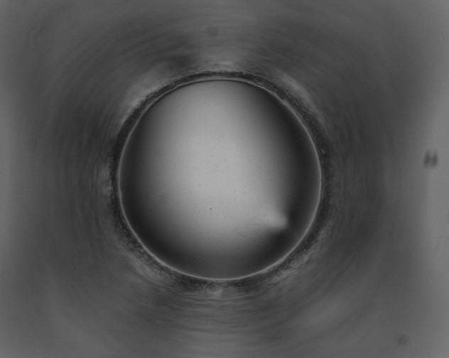 X0000091661218200708231257