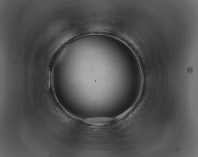 X0000091661219200708231257