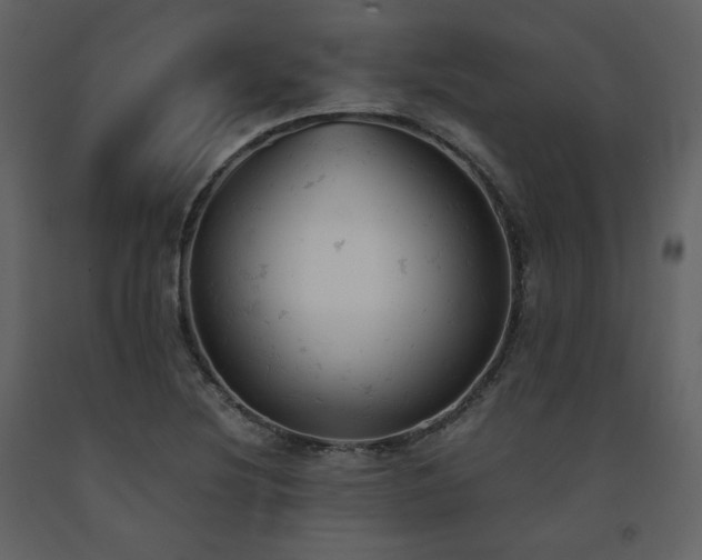 X0000091661220200708231257