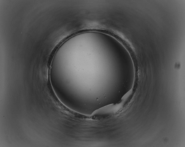 X0000091661221200708231257
