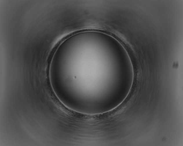 X0000091661222200708231257