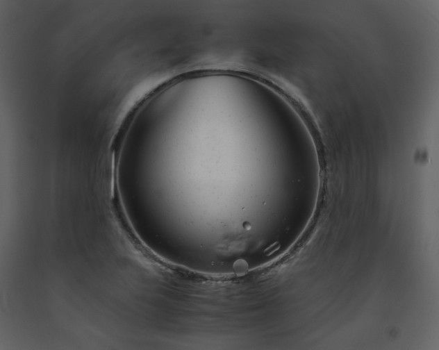 X0000091661223200708231257