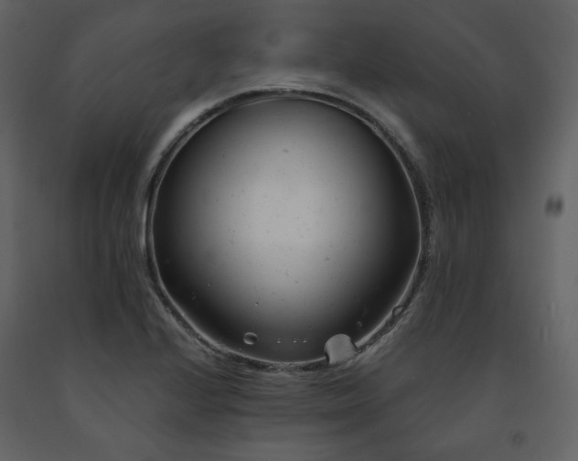 X0000091661224200708231257