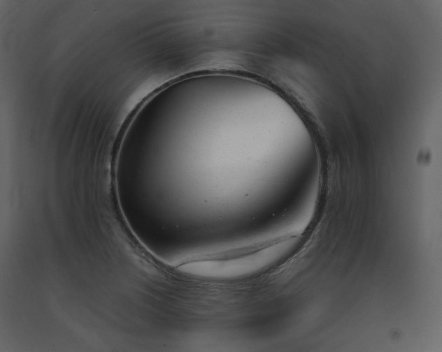 X0000091661226200708231258