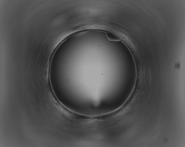 X0000091661228200708231258