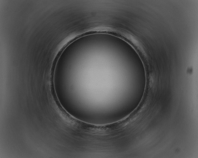 X0000091661229200708231258