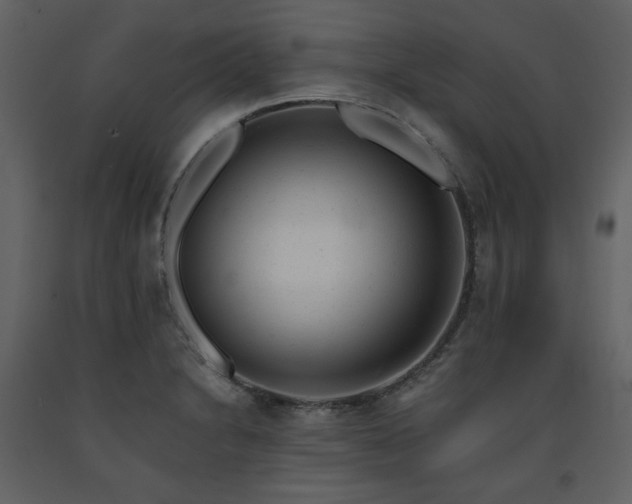 X0000091661230200708231258