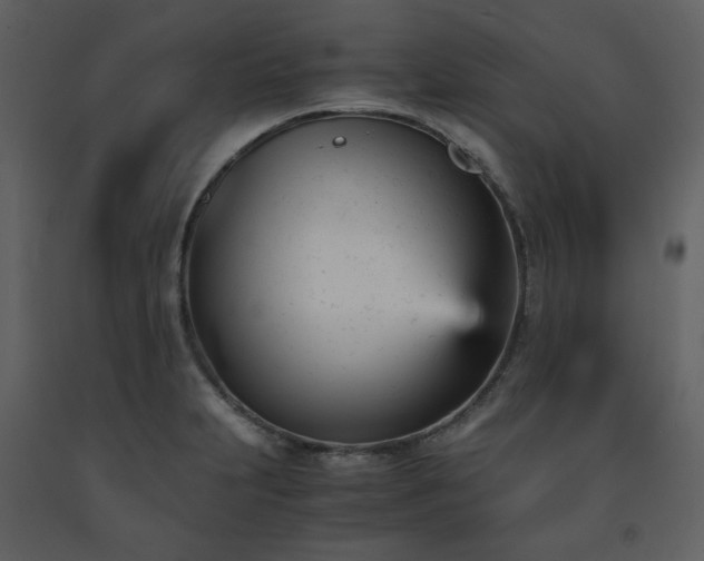 X0000091661231200708231258