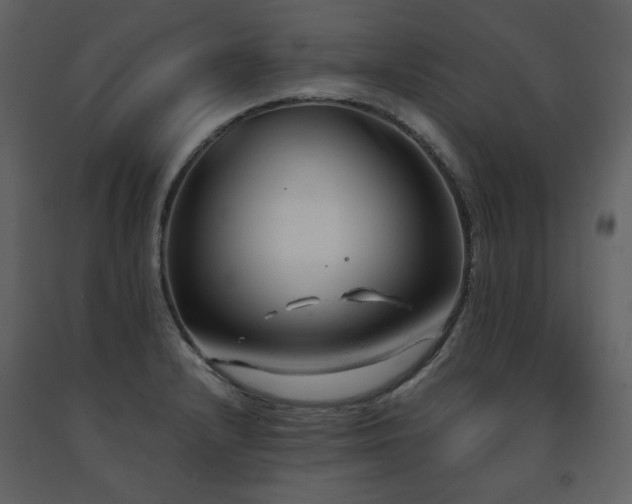 X0000091661232200708231258