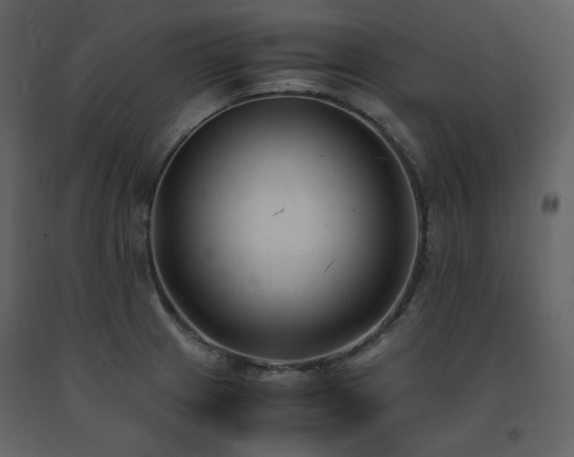 X0000091661233200708231258