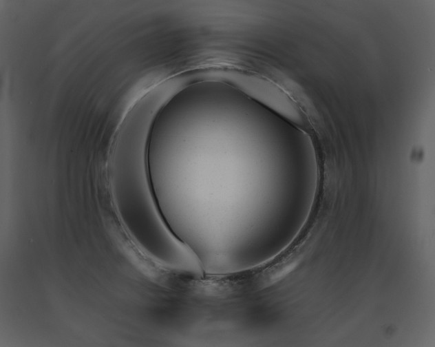 X0000091661234200708231258
