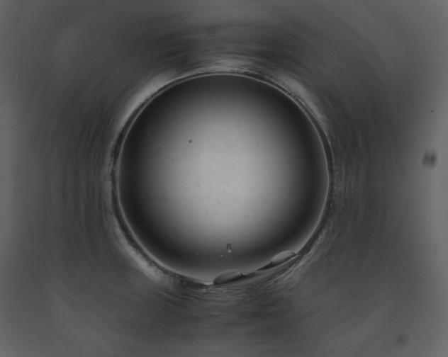 X0000091661235200708231258