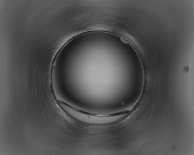 X0000091661236200708231258