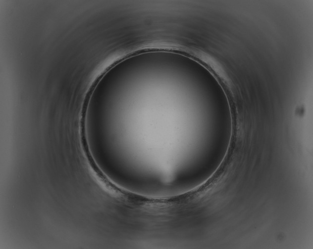 X0000091661237200708231258