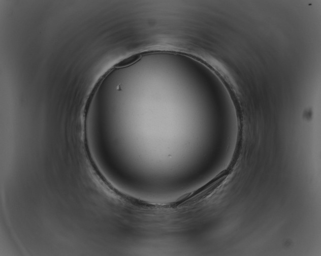 X0000091661238200708231258
