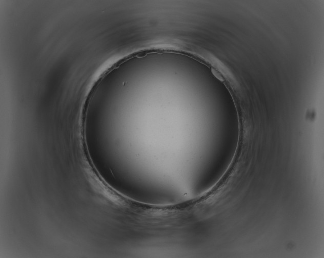 X0000091661240200708231258