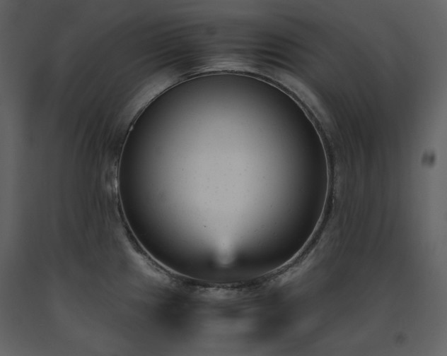 X0000091661241200708231258