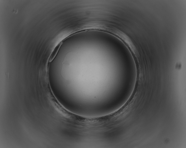 X0000091661242200708231258