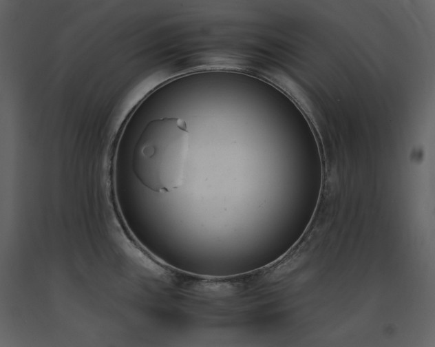X0000091661243200708231258