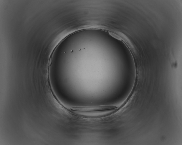X0000091661244200708231258