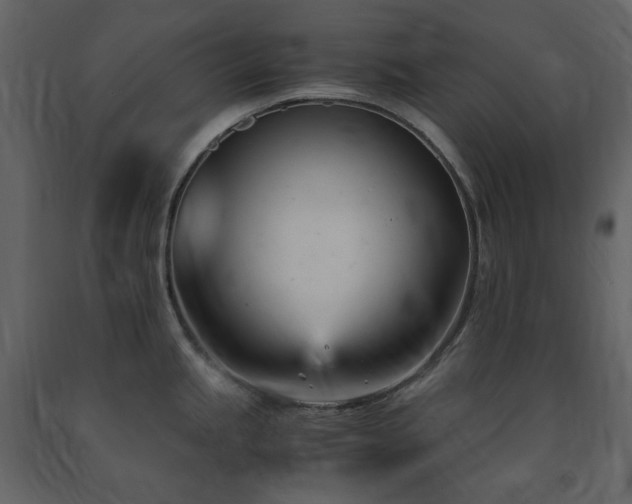 X0000091661245200708231258