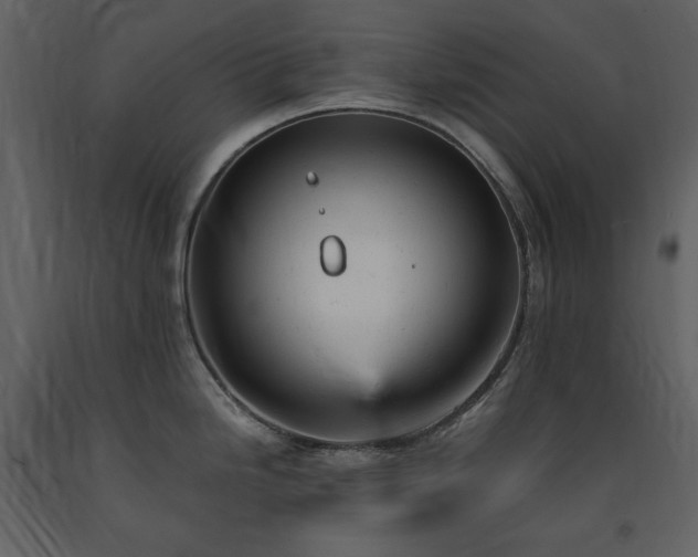 X0000091661246200708231258