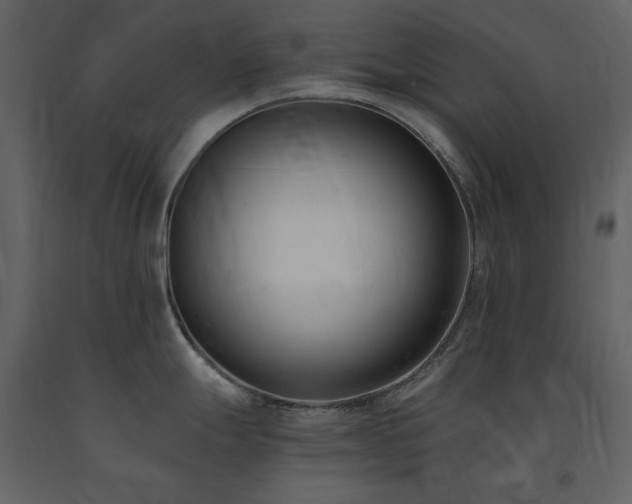 X0000091661247200708231258